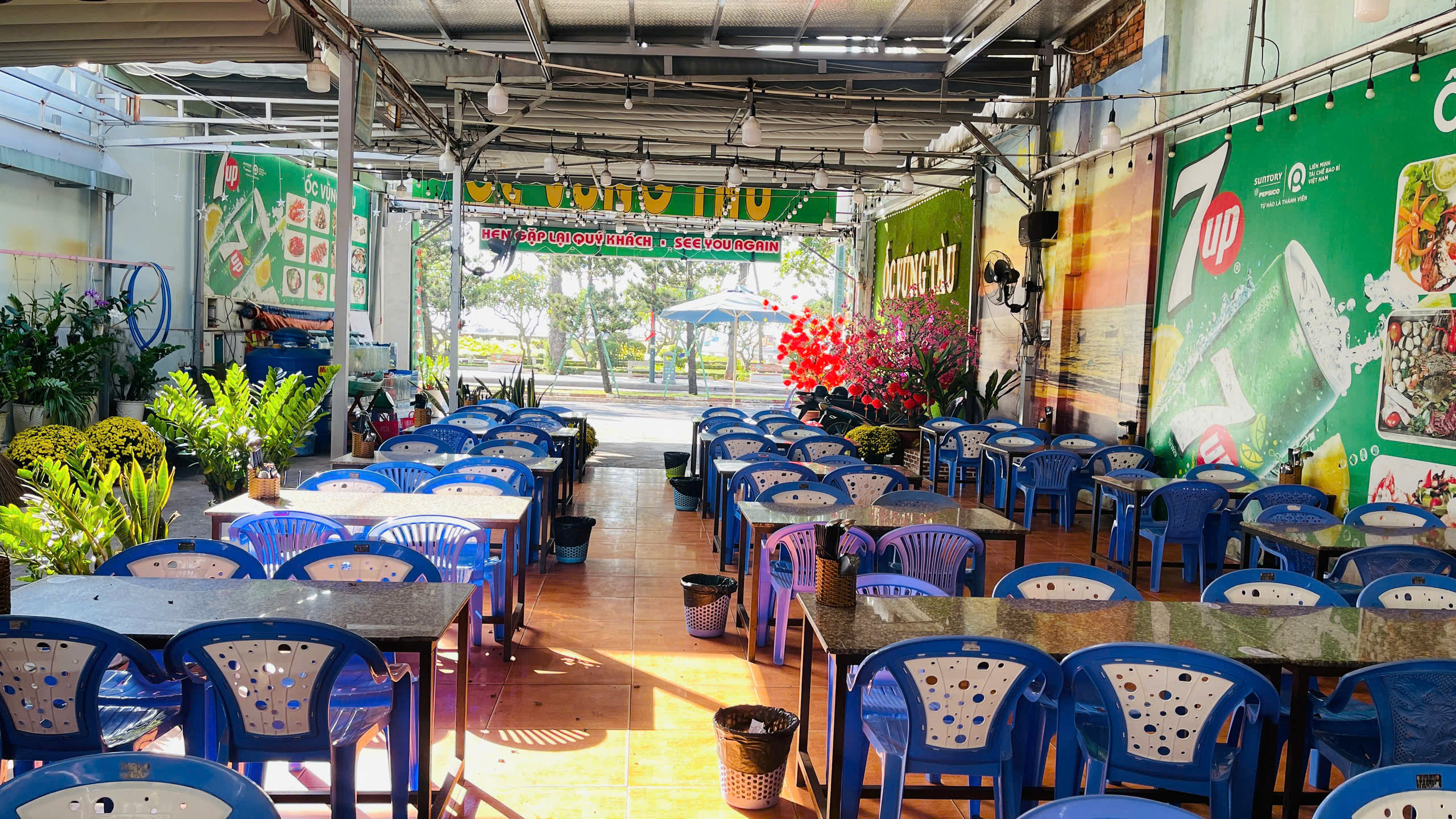 ốc vũng tàu