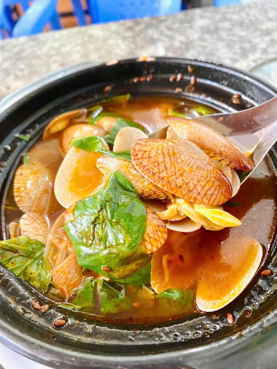 ốc vũng tàu