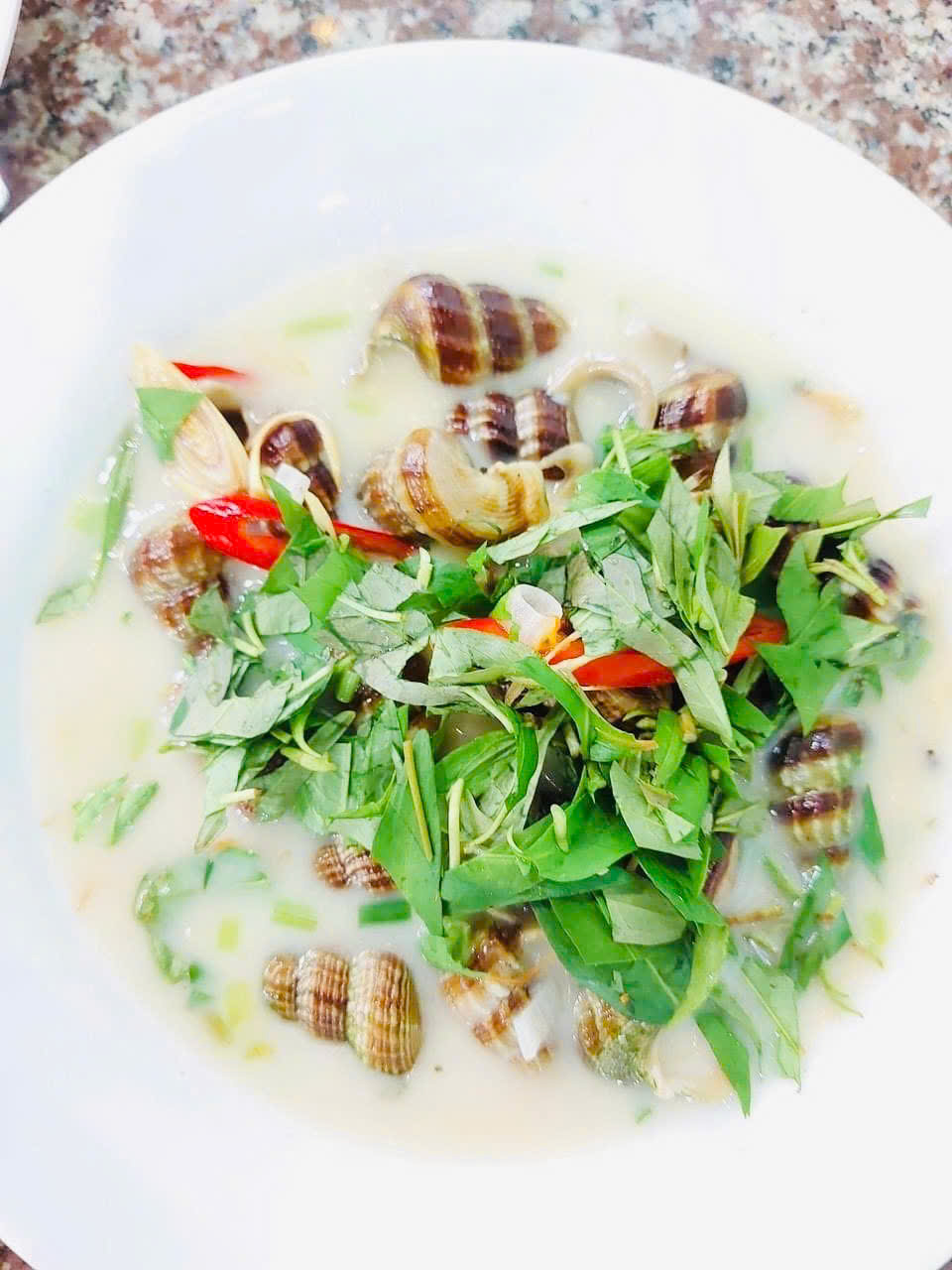 ốc vũng tàu